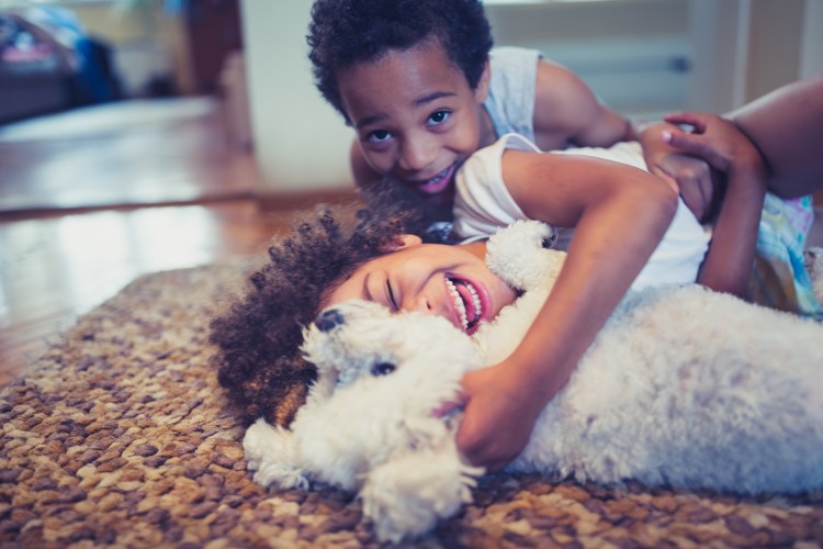 siblings, having fun playing with their dog indoors in living room